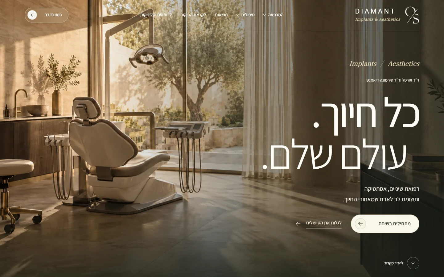 תצוגה במחשב: אתר לקליניקה